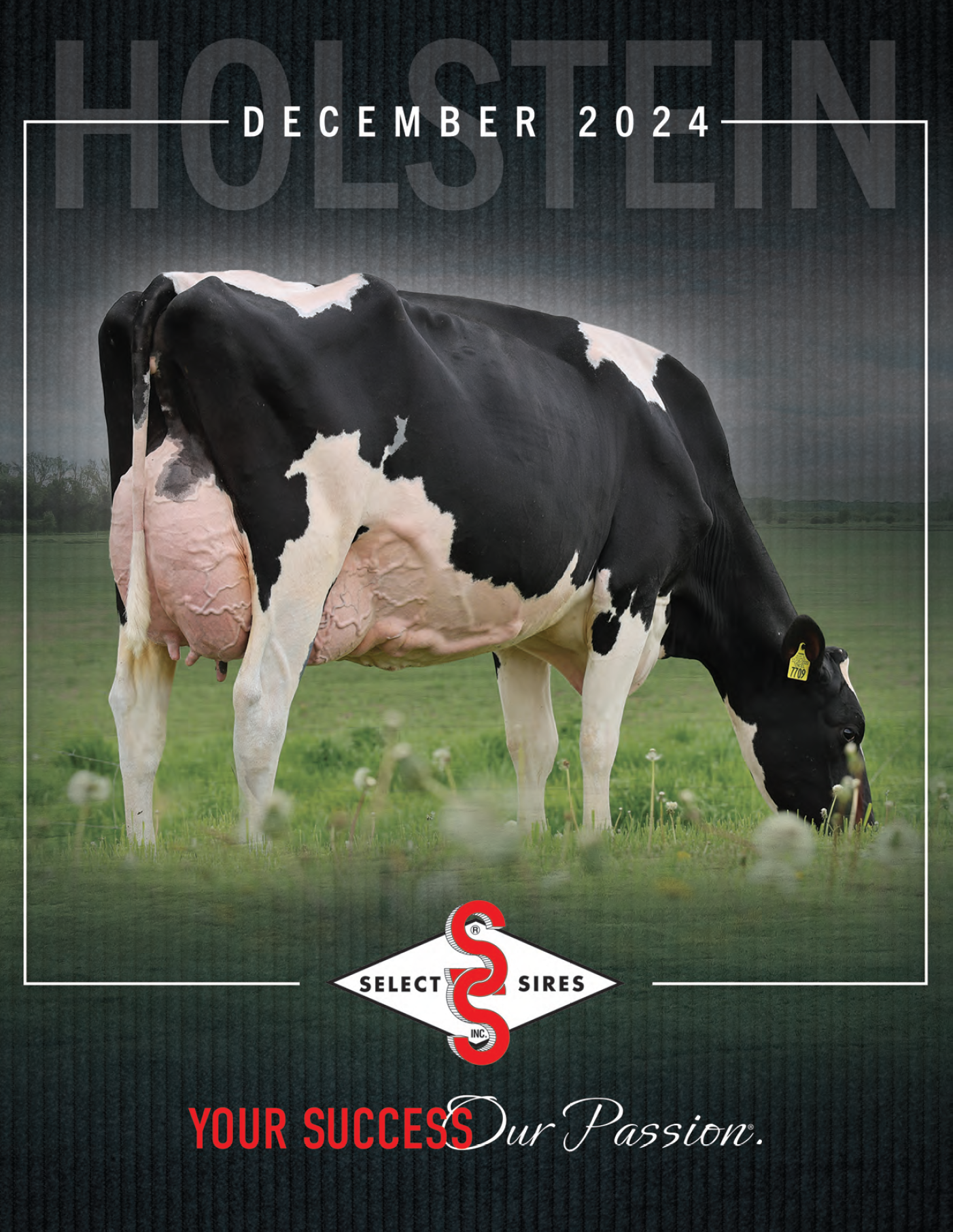 cover-holstein