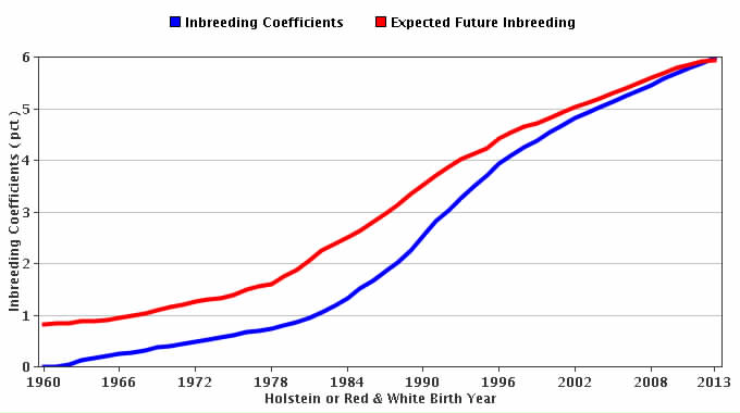 SelectaGEN inbreeding dairy program cost